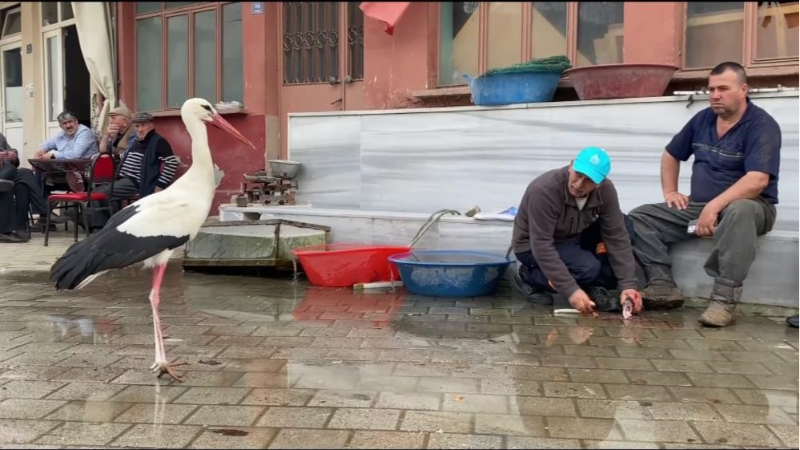 Bursa'da Yaren'den sonra Bilal Leylek'ten de güzel haber
