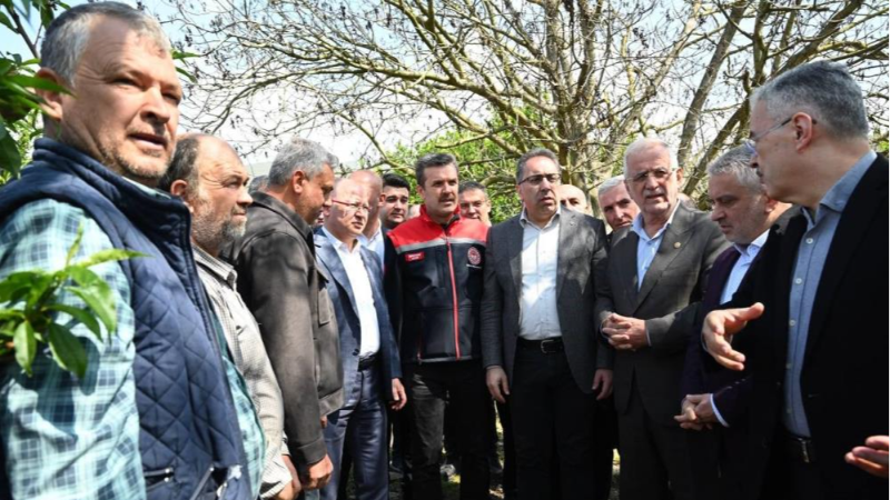 Bursa'da zirai don kabusu: Çiftçiye destek sözü!