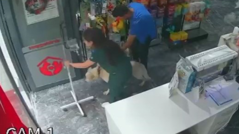 Bursa'daki depremde köpeğini bırakmadı, takdir topladı