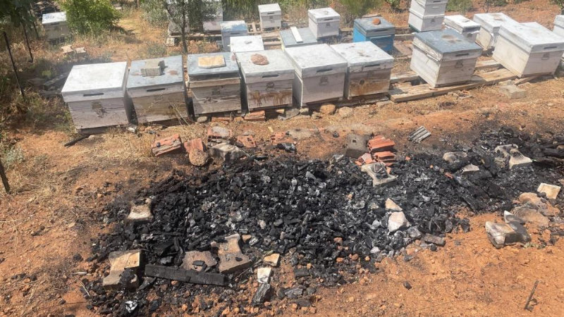Bursa'daki orman yangınında arı kovanları telef oldu