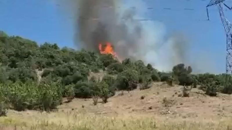Bursa'daki yangına havadan karadan müdahale sürüyor