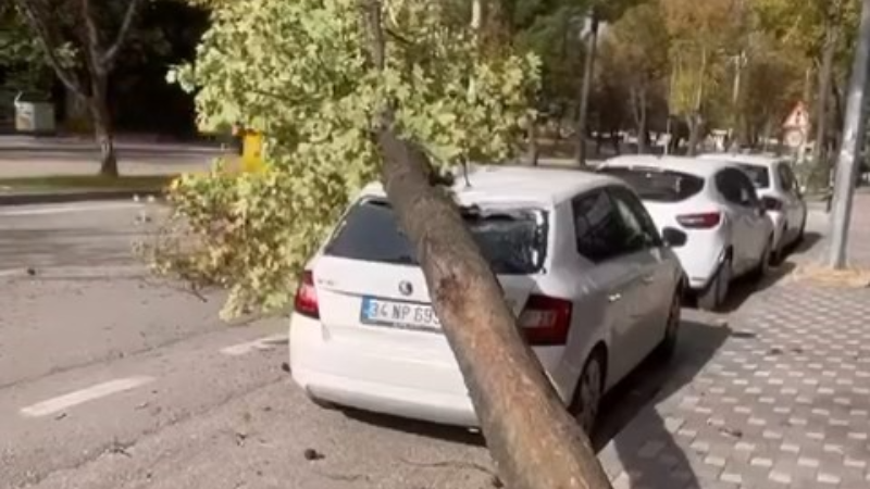 Bursa'dan fırtına yıkıp geçiyor!