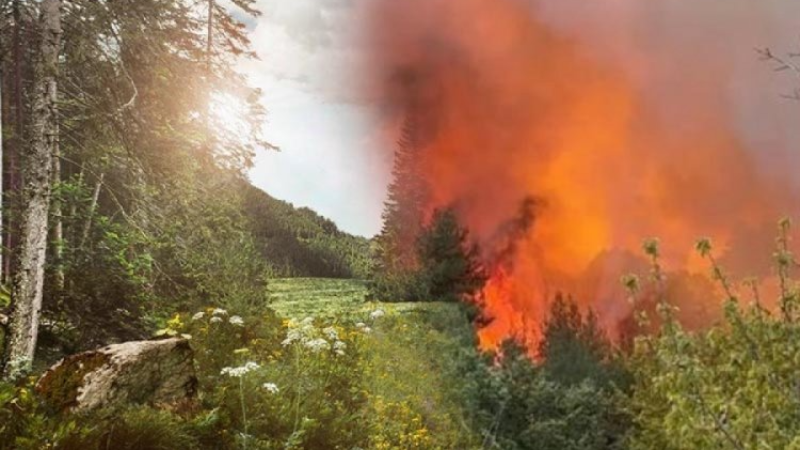 Bursalılara uyarı; Yeşilimize ve geleceğimize hep birlikte sahip çıkalım