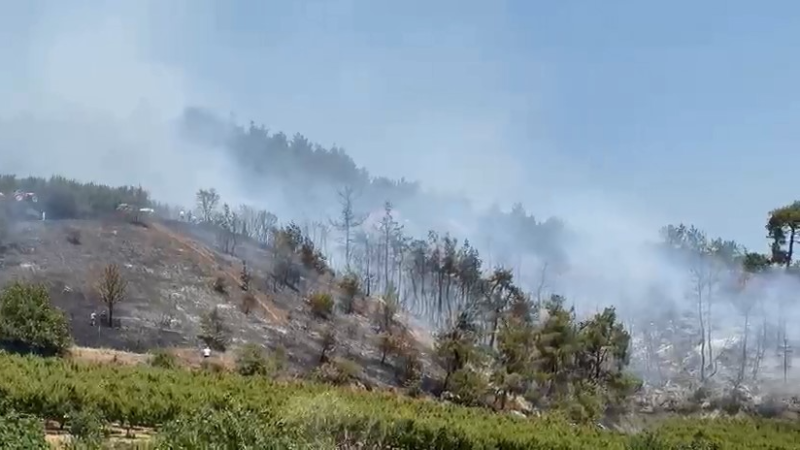 Bursa'nın bir ilçesinde daha yangın!
