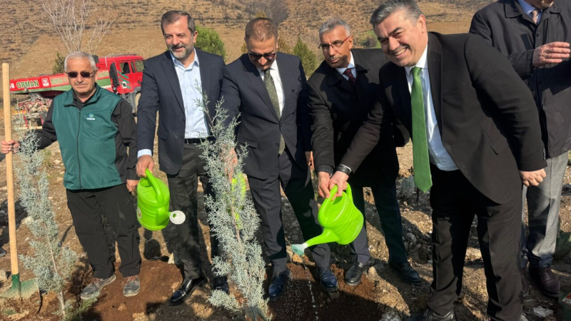 Bursa’nın yanan ormanlarına İstanbul’dan 15 bin fidan
