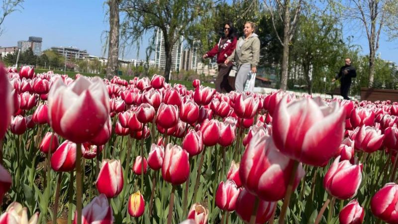 Bursa'ya bir de böyle bakın!