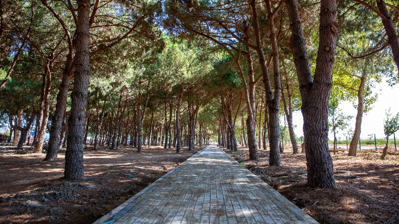 Bursa'ya devasa park