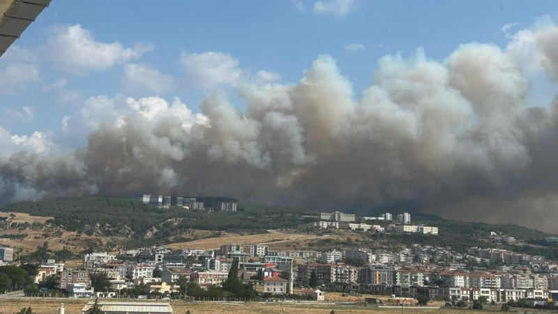 Çanakkale'deki yangın ne durumda? İşte son bilgiler...