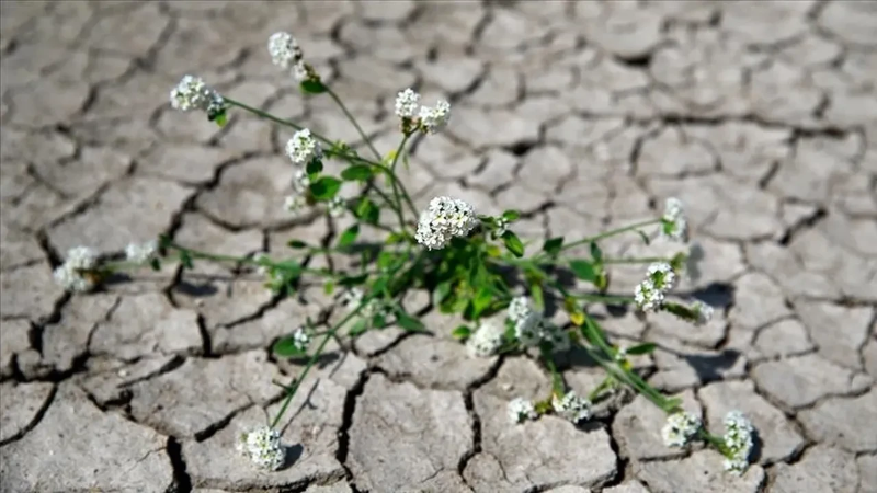 Çevreye zarar veren işletmeler şimdi yandı; Milyonluk cezalar...