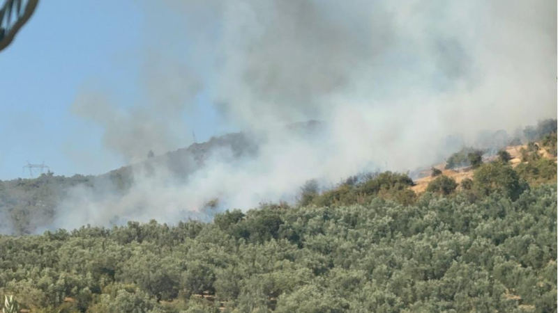 Dün Yenişehir bugün İznik; Bursa'da yine yangın var