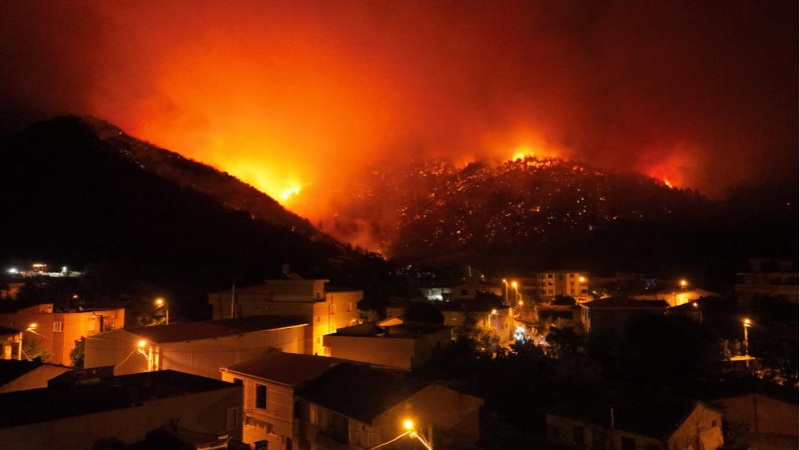 Efkan Ala'dan Bursa'daki orman yangınına ilişkin açıklama