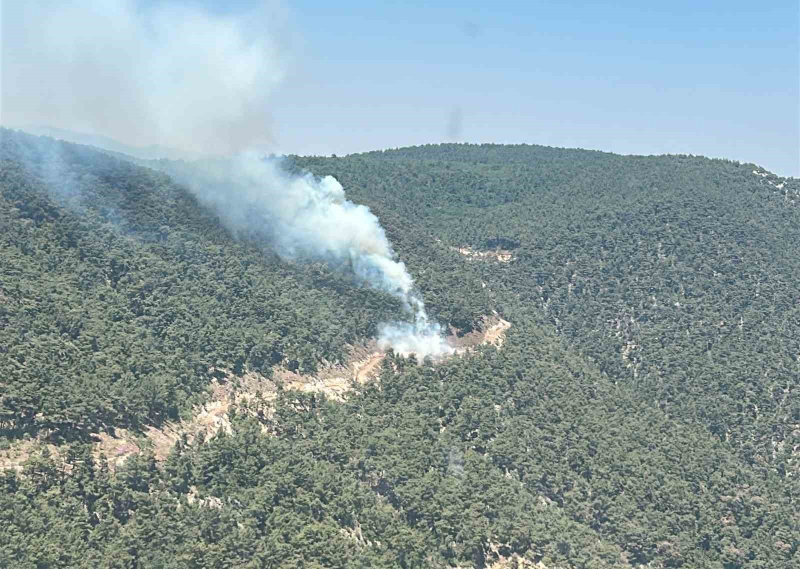 Ekipler orman yangını için seferber oldu