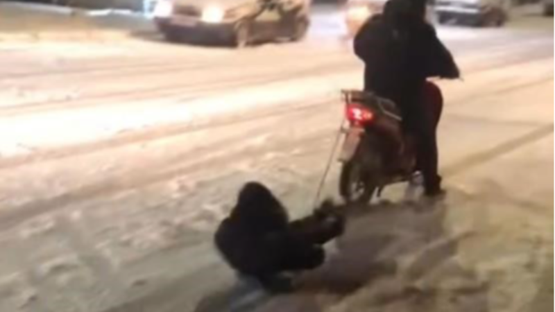 İşte Bursa'dan ilginç kar görüntüleri!