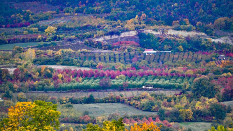 İşte Bursa'nın hava raporu!