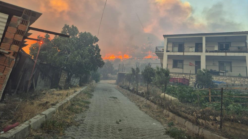 İzmir’de orman yangını kontrol altına alındı