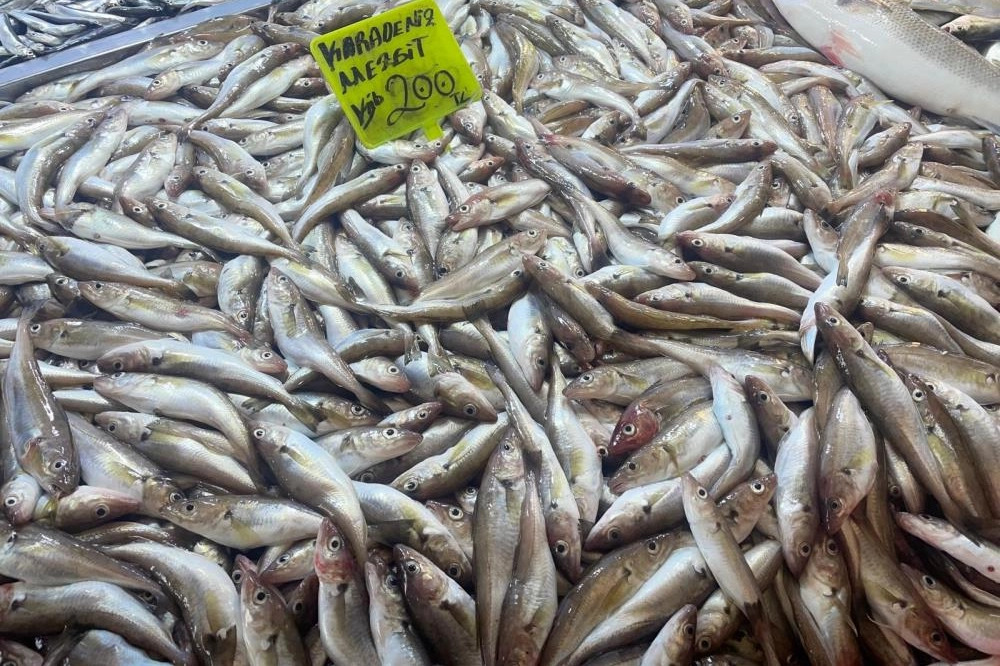 Kalp hastalıklarından ülsere, alzheimerdan bronşite kadar herşeye iyi geliyor...