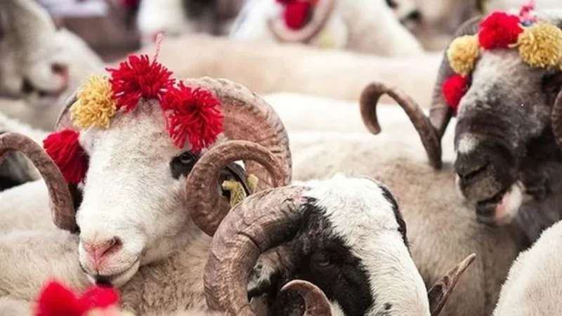 Kurban Bayramı ne zaman? İşte bayram takvimi...