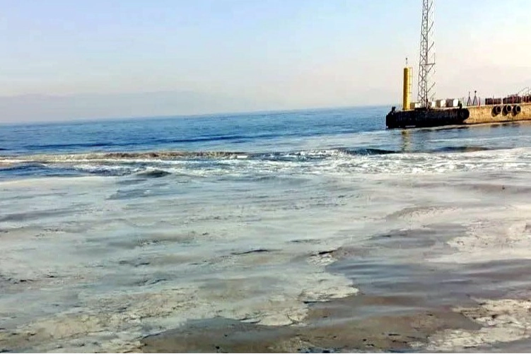 Marmara Denizi'nde ağlara balık yerine müsilaj takıldı