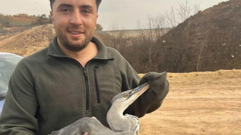 Mavi balıkçıl kuşunu Bursalı gençler kurtardı