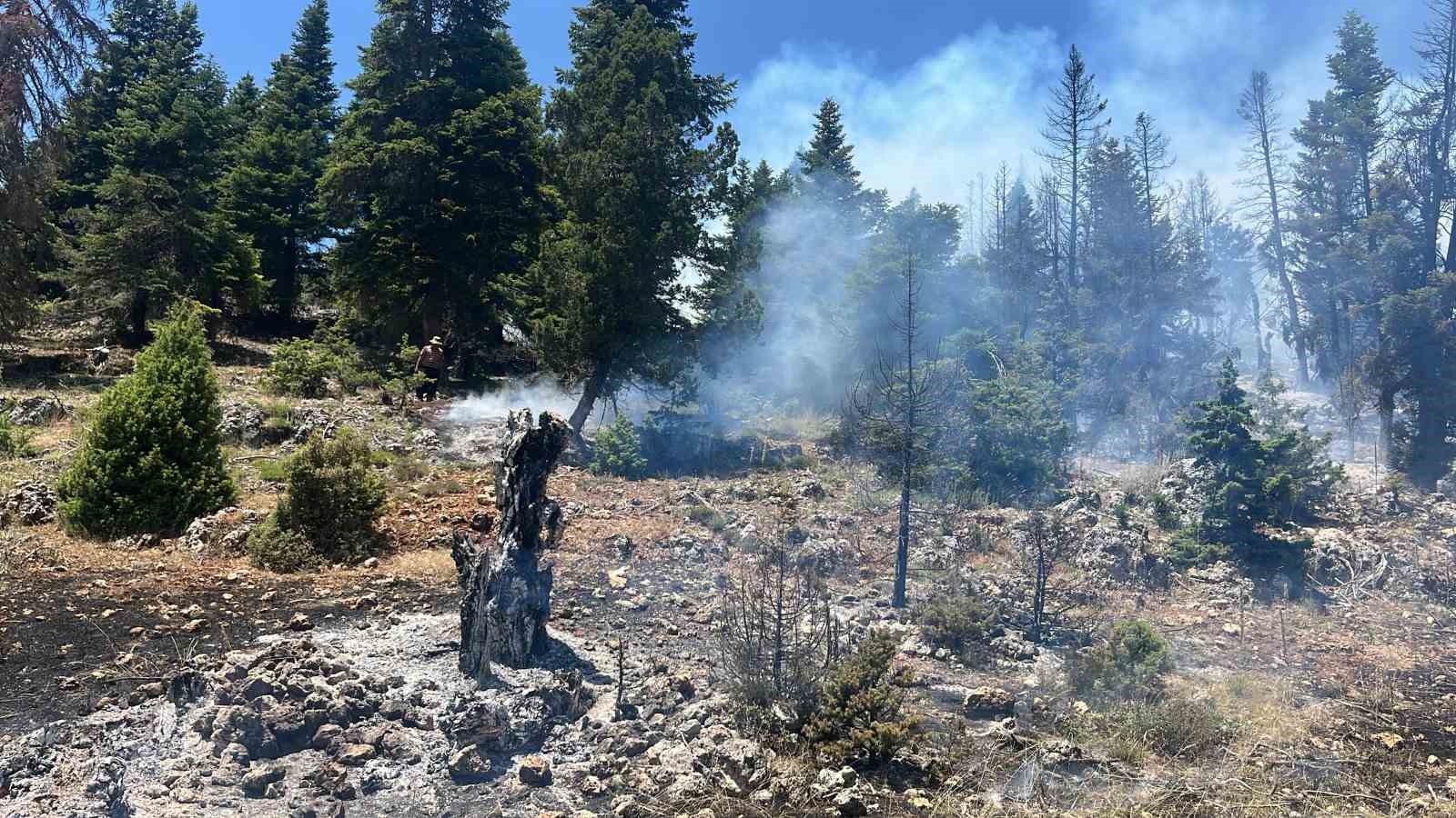Mersin’de orman yangını, ekipler  müdahaleye başladı