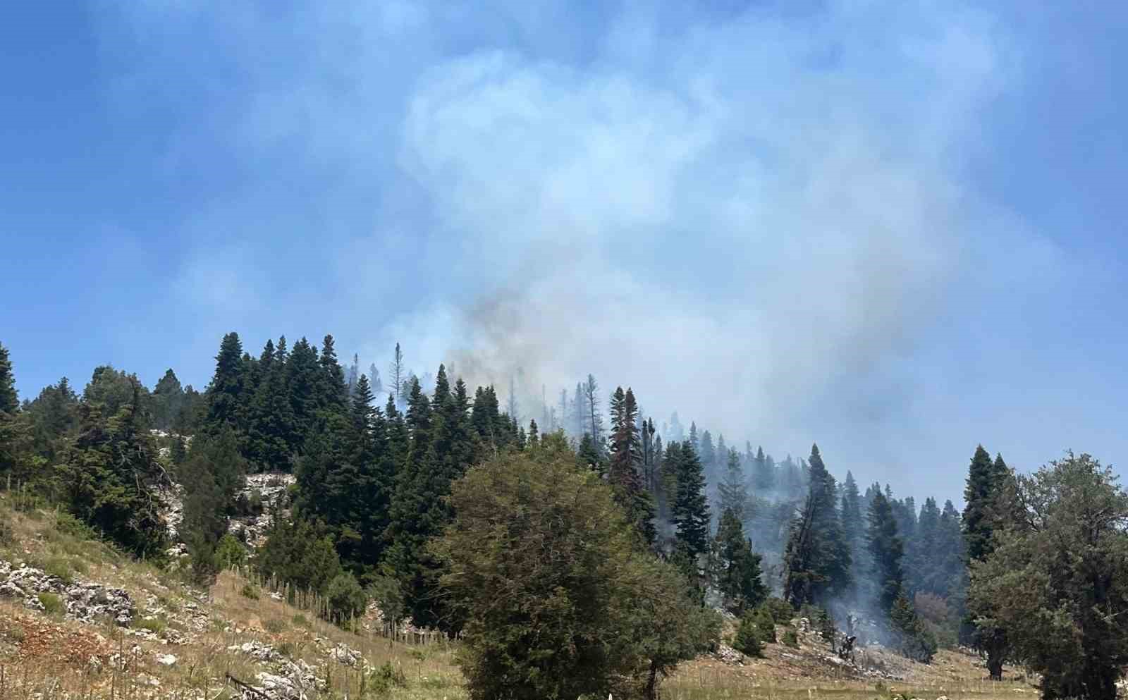 Mersin’deki orman yangını söndürüldü