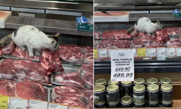 Mide bulandıran görüntü!