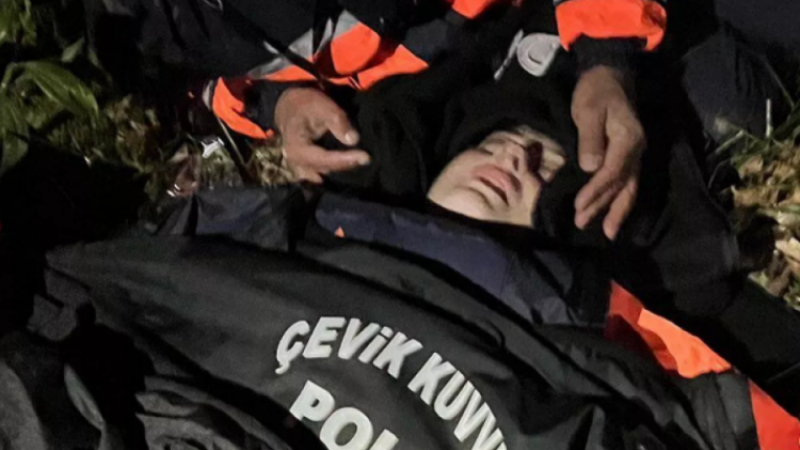 Mimar Ece Gürel ormana neden gitti?