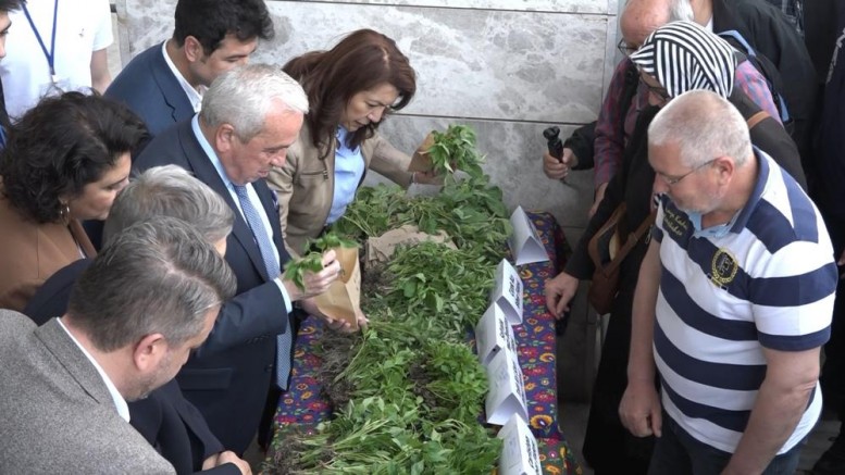 Nilüfer’de 120 bin fide toprakla buluşuyor!