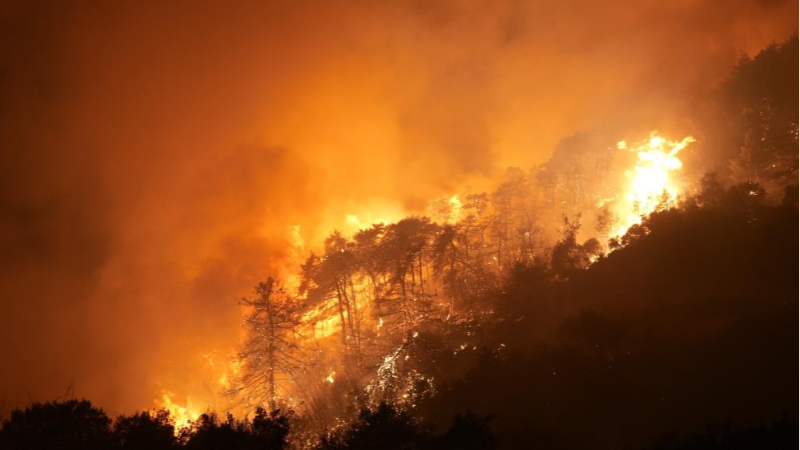 Orman yangınlarına karşı başlatılan iyilik hareketine Bursaspor'da katıldı!