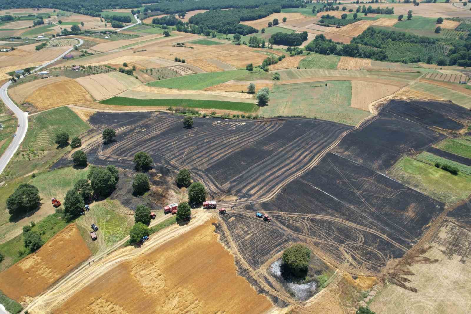 Sakarya’da 150 dönümlük tarım arazisi kül oldu