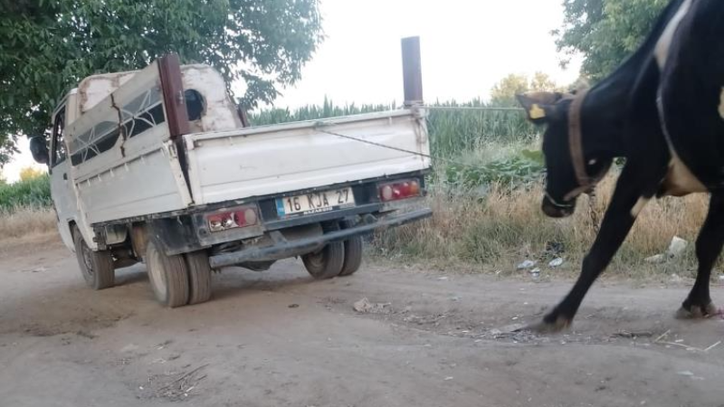 Sen insan olamazsın; Bursa'da yürekleri sızlatan olay...