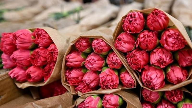 Sevgililer Günü yaklaşıyor; Bir demet gül ne kadar?