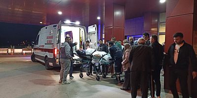 Abi-kardeş arasında tartışma; Tüfekle vurdu