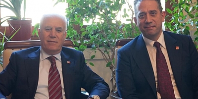 Ali Mahir Başarır; Bu müdahale  Bursa'nın demokratik tercihine yapılmıştır