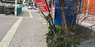 Aman dikkat; Bursa'da lodosun hızı 75 kilometreye ulaşacak
