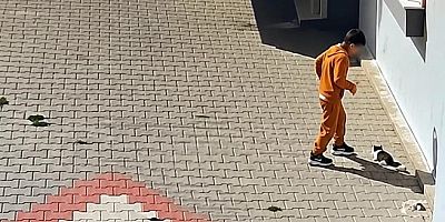 Balıkesir’in Bandırma ilçesinde bir çocuğun kediye kötü muamelede bulunduğu anlara ilişkin görüntüler sosyal medyada tepki topladı.