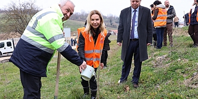 Bu fidanlar Bursa'nın umudu olacak!