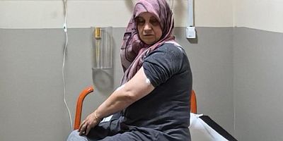 Bursa'da akrep hastanelik etti!