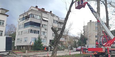 Bursa Büyükşehir Belediyesi ekipleri lodosa karşı sahada 