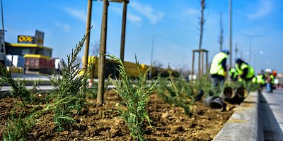 Bursa Büyükşehir kenti güzelleştiriyor!