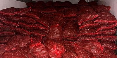 Bursa’da 10 ton kaçak midye ele geçirildi