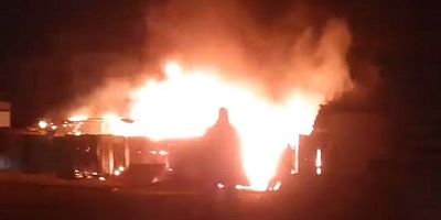 Bursa’da 200 küçükbaş yanmaktan son anda kurtarıldı!