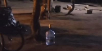 Bursa’da aç kalan ayı aileyi korkuttu!