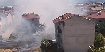 Bursa'da anız yangınında 20 dönüm tarım alanı kül oldu