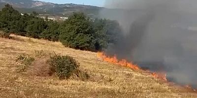 Bursa’da arazi yangını kontrol altına alındı