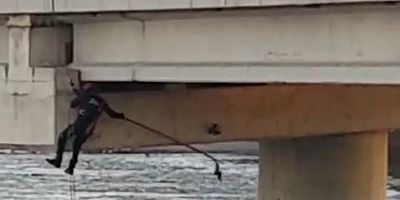 Bursa’da asılı kalan güvercini bakın nasıl kurtardılar!