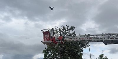 Bursa'da bir garip kurtarma olayı!