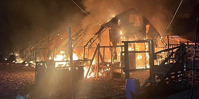  Bursa'da büyük çiftlik yangını: Hayvanlar telef oldu