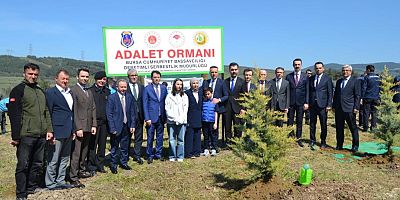 Bursa’da Cengiz Yiğit anısına hatıra ormanı oluşturuldu!