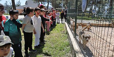 Bursa'da çocuklar patili dostlarla buluştu